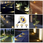 LED