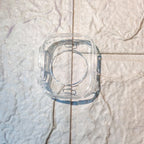 Earphones