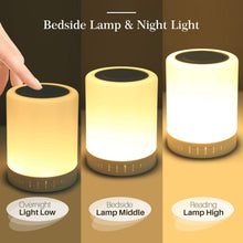 LED Portable Speakers