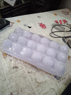 18 Grid Egg Holder Storage, Shock-Proof Egg Container with Buckle
