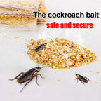 Box of cockroach traps